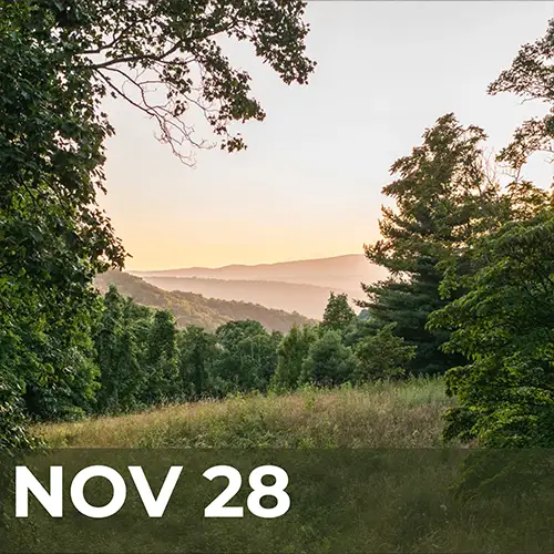 November 28